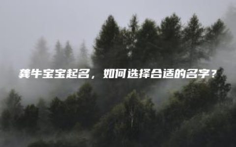 龚牛宝宝起名，如何选择合适的名字？