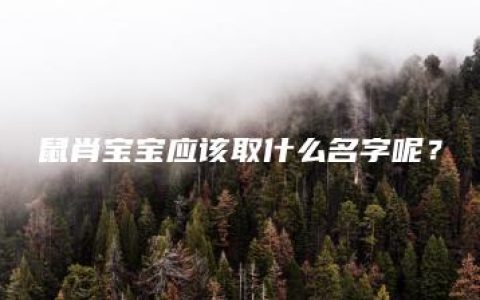 鼠肖宝宝应该取什么名字呢？