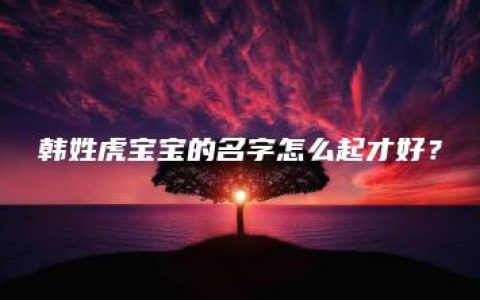 韩姓虎宝宝的名字怎么起才好？