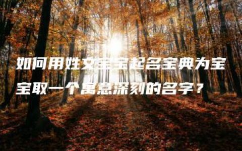 如何用姓文宝宝起名宝典为宝宝取一个寓意深刻的名字？