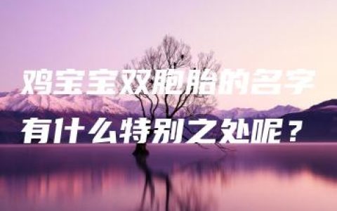 鸡宝宝双胞胎的名字有什么特别之处呢？