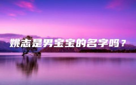 姚志是男宝宝的名字吗？