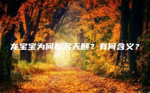 龙宝宝为何取名天麒？有何含义？