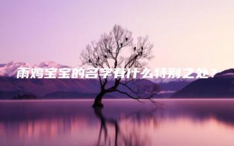 雨鸡宝宝的名字有什么特别之处？