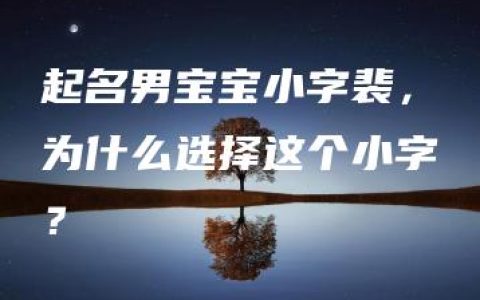 起名男宝宝小字裴，为什么选择这个小字？