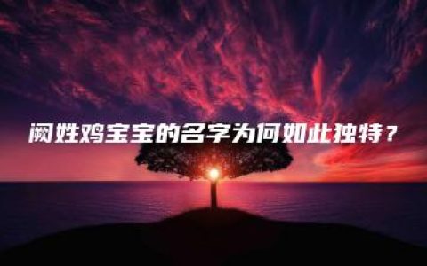 阙姓鸡宝宝的名字为何如此独特？