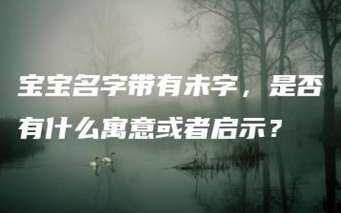 宝宝名字带有未字，是否有什么寓意或者启示？