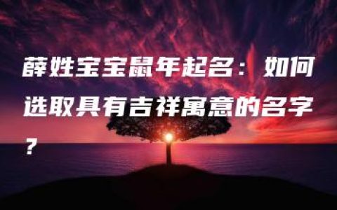 薛姓宝宝鼠年起名：如何选取具有吉祥寓意的名字？