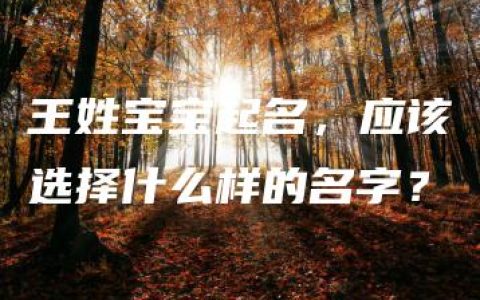 王姓宝宝起名，应该选择什么样的名字？