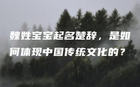 魏姓宝宝起名楚辞，是如何体现中国传统文化的？