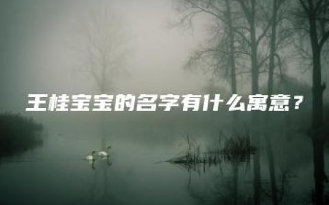 王桂宝宝的名字有什么寓意？