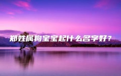 郑姓属狗宝宝起什么名字好？