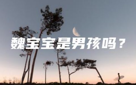 魏宝宝是男孩吗？