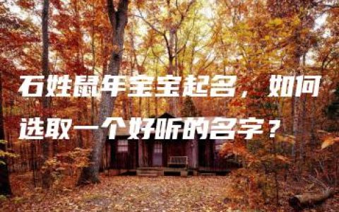 石姓鼠年宝宝起名，如何选取一个好听的名字？