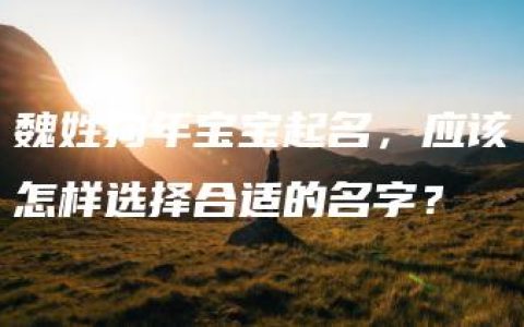 魏姓狗年宝宝起名，应该怎样选择合适的名字？