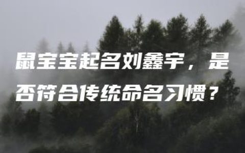 鼠宝宝起名刘鑫宇，是否符合传统命名习惯？