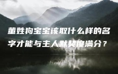 董姓狗宝宝该取什么样的名字才能与主人默契度满分？