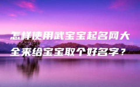 怎样使用武宝宝起名网大全来给宝宝取个好名字？