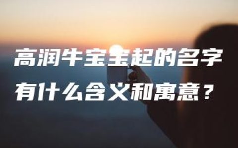 高润牛宝宝起的名字有什么含义和寓意？