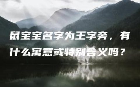 鼠宝宝名字为王字旁，有什么寓意或特别含义吗？