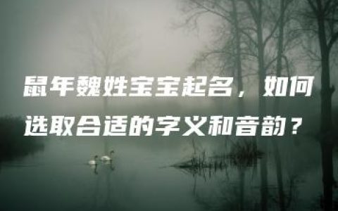 鼠年魏姓宝宝起名，如何选取合适的字义和音韵？