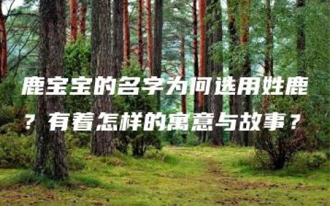 鹿宝宝的名字为何选用姓鹿？有着怎样的寓意与故事？