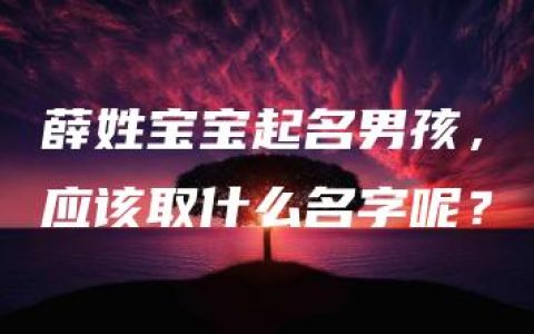 薛姓宝宝起名男孩，应该取什么名字呢？