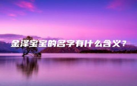 金泽宝宝的名字有什么含义？