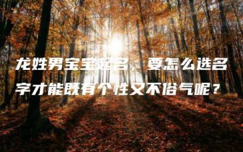 龙姓男宝宝起名，要怎么选名字才能既有个性又不俗气呢？