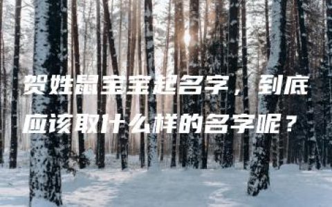 贺姓鼠宝宝起名字，到底应该取什么样的名字呢？