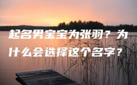 起名男宝宝为张羽？为什么会选择这个名字？