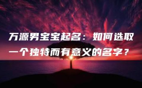 万源男宝宝起名：如何选取一个独特而有意义的名字？