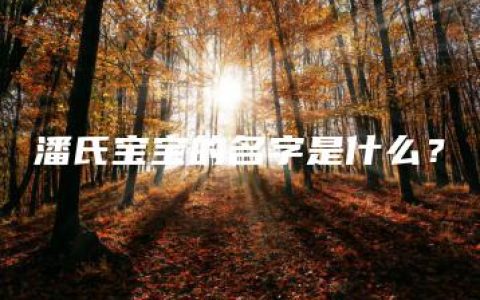 潘氏宝宝的名字是什么？