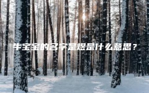 牛宝宝的名字是煜是什么意思？