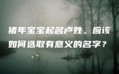 猪年宝宝起名卢姓，应该如何选取有意义的名字？