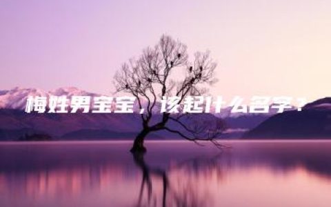 梅姓男宝宝，该起什么名字？