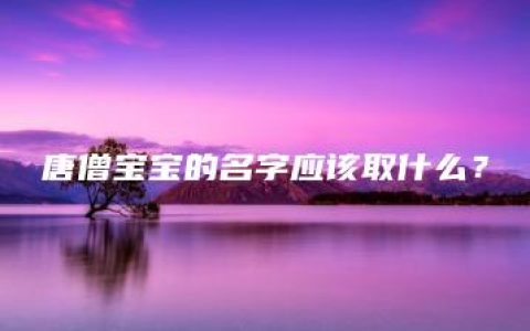 唐僧宝宝的名字应该取什么？