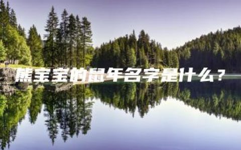 熊宝宝的鼠年名字是什么？