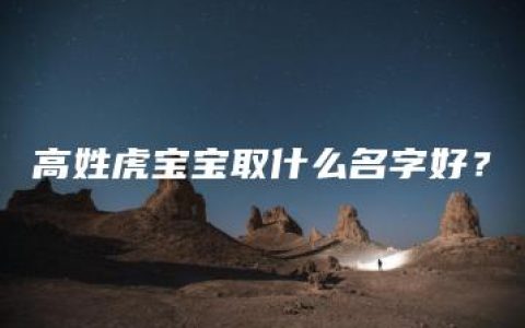 高姓虎宝宝取什么名字好？