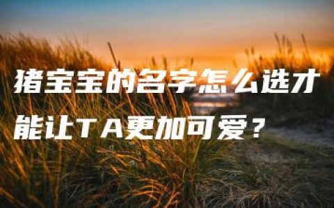 猪宝宝的名字怎么选才能让TA更加可爱？