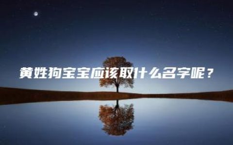 黄姓狗宝宝应该取什么名字呢？