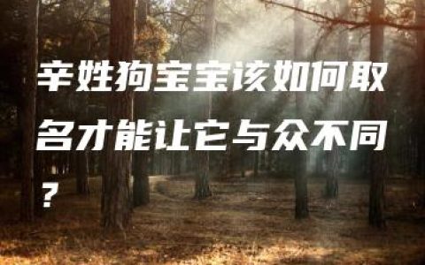 辛姓狗宝宝该如何取名才能让它与众不同？