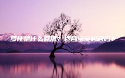 罗仕是什么意思？适合宝宝起名吗？