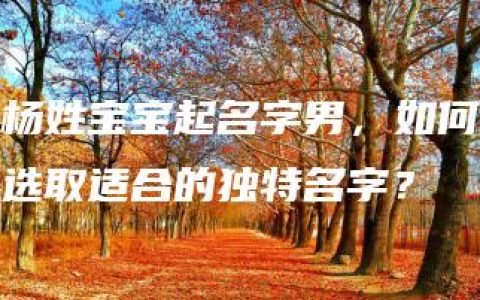 杨姓宝宝起名字男，如何选取适合的独特名字？