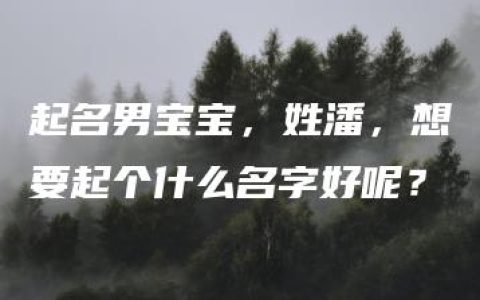 起名男宝宝，姓潘，想要起个什么名字好呢？