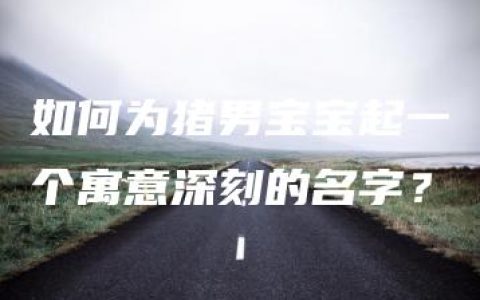 如何为猪男宝宝起一个寓意深刻的名字？