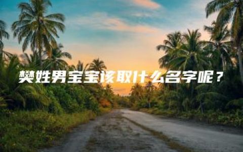 樊姓男宝宝该取什么名字呢？