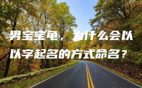 男宝宝龟，为什么会以以字起名的方式命名？