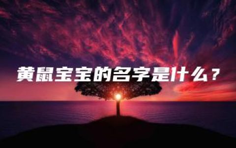 黄鼠宝宝的名字是什么？