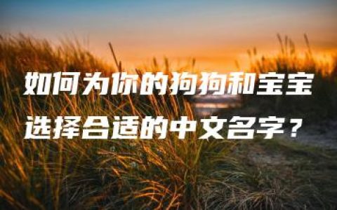 如何为你的狗狗和宝宝选择合适的中文名字？